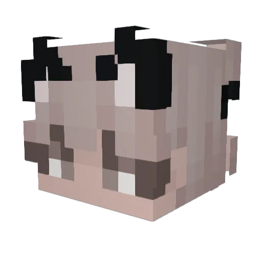 JeffMaster200 Minecraft avatar head, 3D render