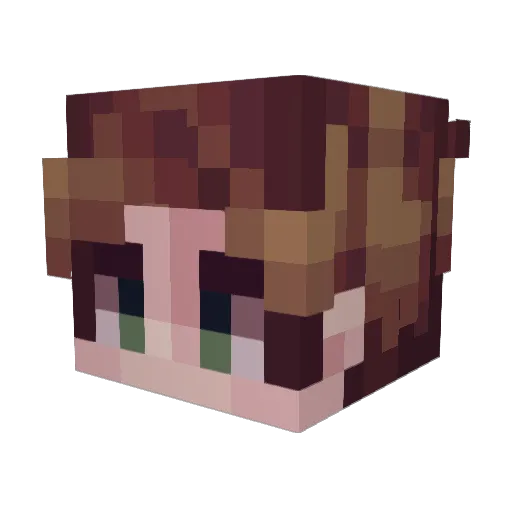 JeffStarships Minecraft avatar head, 3D render