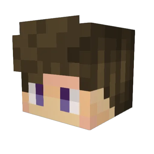 Jeff_Ninja_Fox Minecraft avatar head, 3D render
