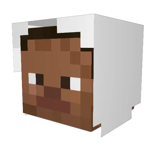 Jeff_Tuche_ Minecraft avatar head, 3D render