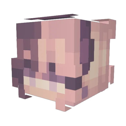 Jefferystar5997 Minecraft avatar head, 3D render