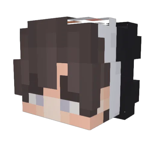 Jeffpenguin46 Minecraft avatar head, 3D render