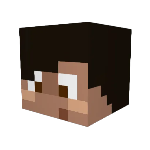 Jeffrey_Epstein2 Minecraft avatar head, 3D render