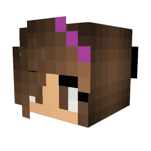 Jeffy447 Minecraft avatar head, 3D render