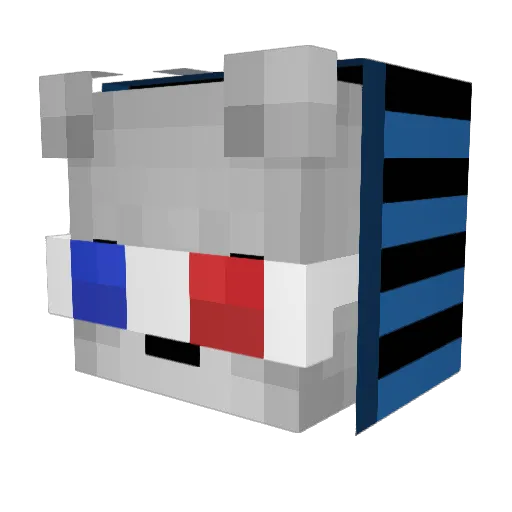 JegWord Minecraft avatar head, 3D render