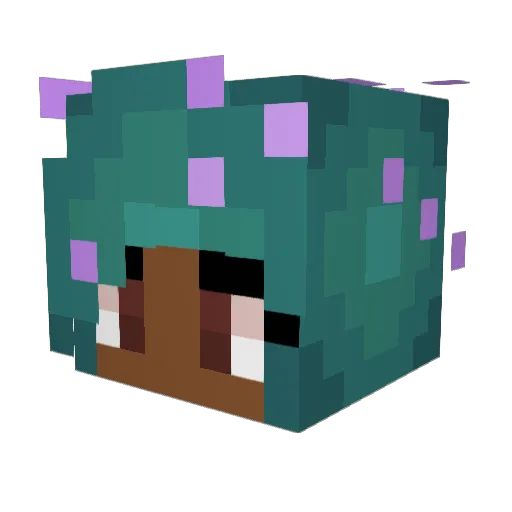 Jeiiya Minecraft avatar head, 3D render