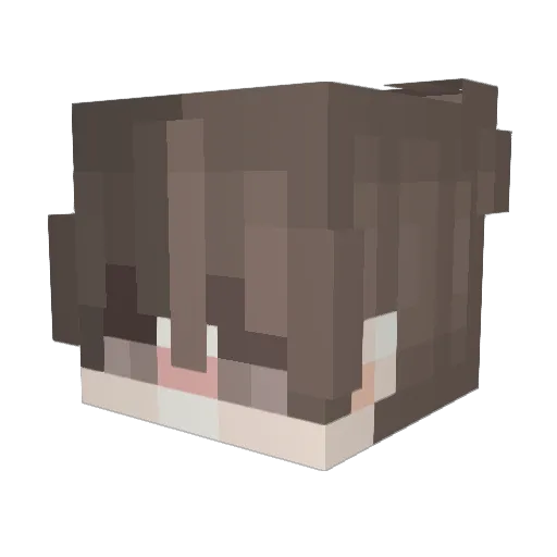 Jeimis Minecraft avatar head, 3D render