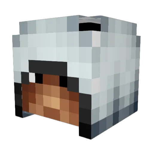 Jeisch Minecraft avatar head, 3D render