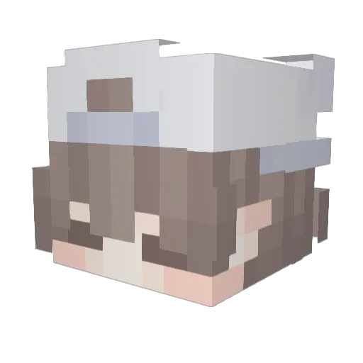 Jeiymes Minecraft avatar head, 3D render