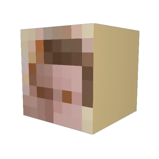 JejujoLand Minecraft avatar head, 3D render