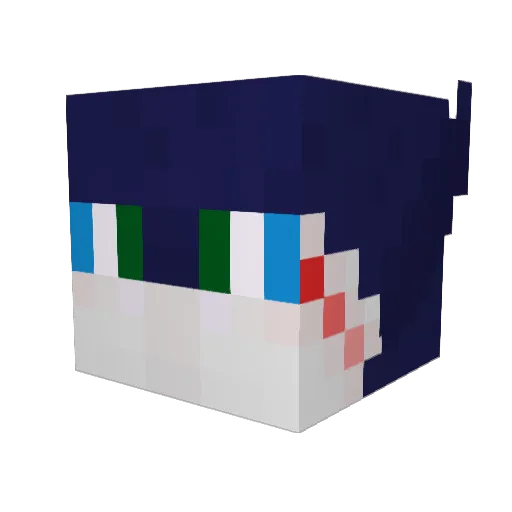 JekidoSergal777 Minecraft avatar head, 3D render