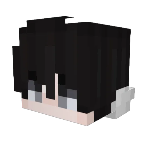Jekonwel Minecraft avatar head, 3D render