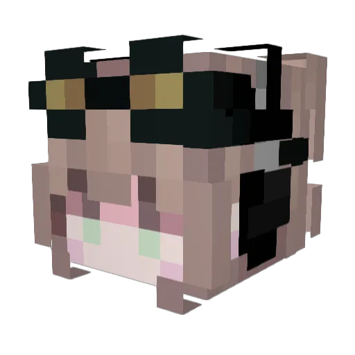 Jelexa Minecraft avatar head, 3D render