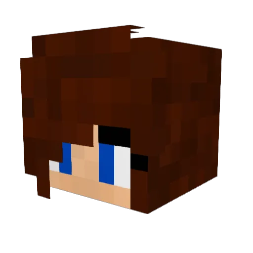 Jella01 Minecraft avatar head, 3D render