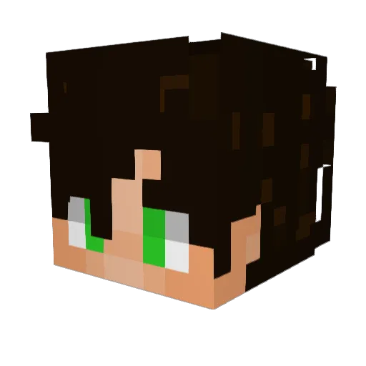 Jelleuitt Minecraft avatar head, 3D render