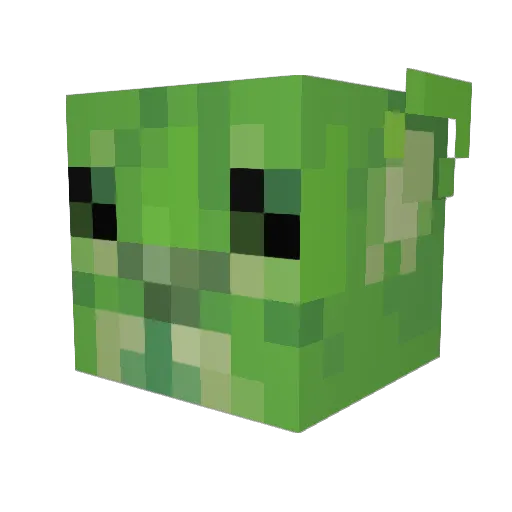 JelliMoon Minecraft avatar head, 3D render
