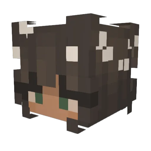 Jellicat3 Minecraft avatar head, 3D render