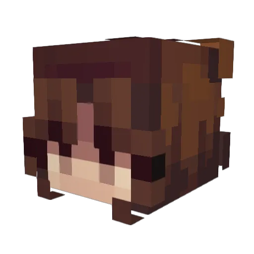 Jellie_Bean50 Minecraft avatar head, 3D render