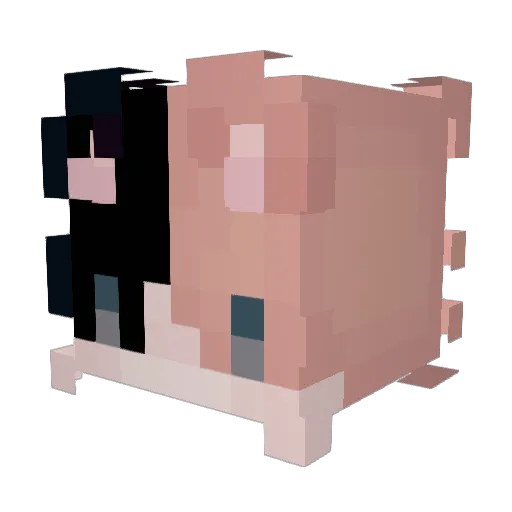 Jello_Cats Minecraft avatar head, 3D render