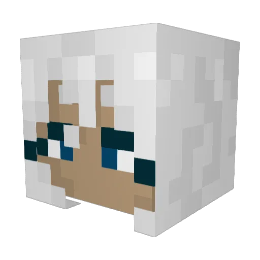 Jellobug Minecraft avatar head, 3D render