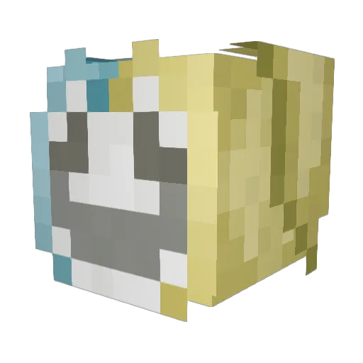 Jelly0612_ Minecraft avatar head, 3D render