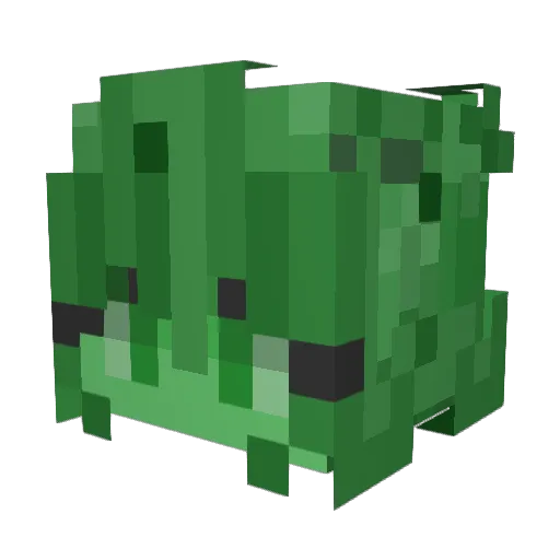 Jelly07007 Minecraft avatar head, 3D render
