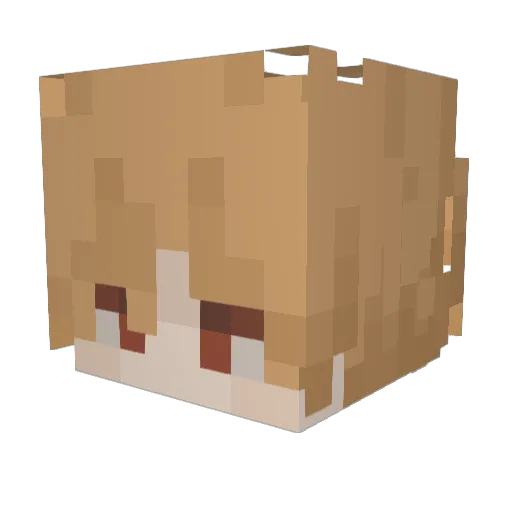 Jelly2918 Minecraft avatar head, 3D render