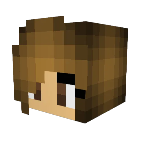 Jelly333 Minecraft avatar head, 3D render