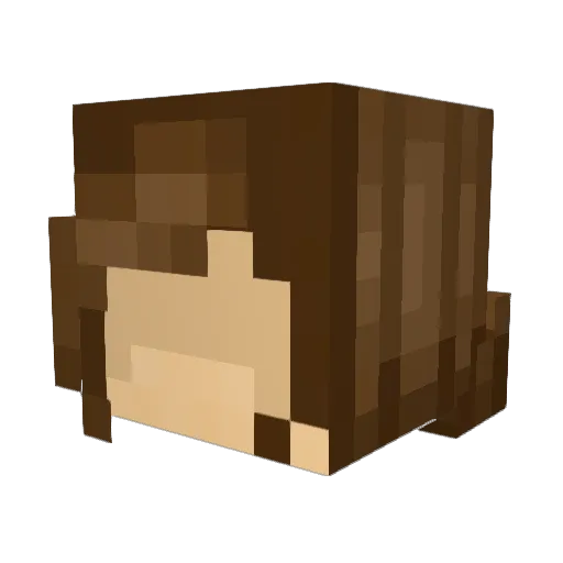 JellyBeans629 Minecraft avatar head, 3D render