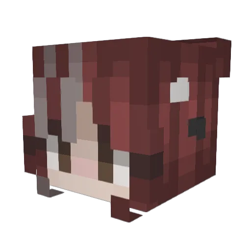 JellyBird16 Minecraft avatar head, 3D render