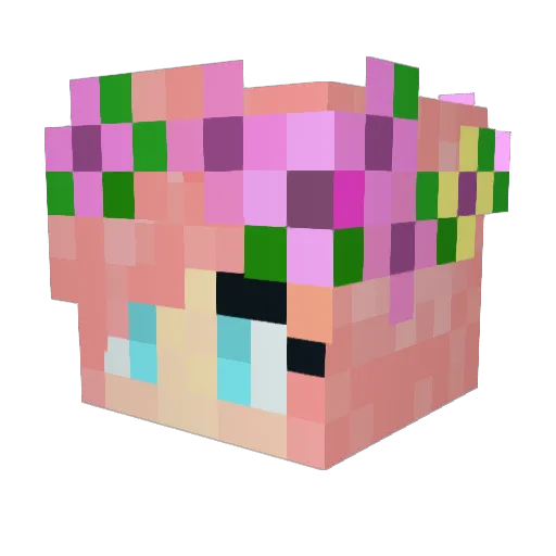 JellyBunnys Minecraft avatar head, 3D render