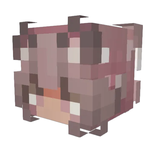 JellyChewi Minecraft avatar head, 3D render