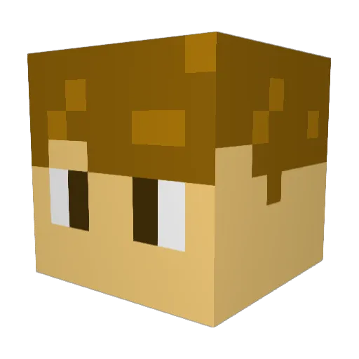 JellyDonut09 Minecraft avatar head, 3D render