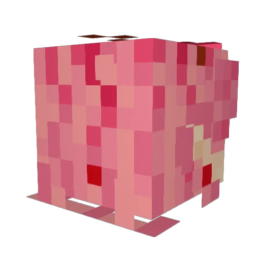 JellyFish_Doge Minecraft avatar head, 3D render