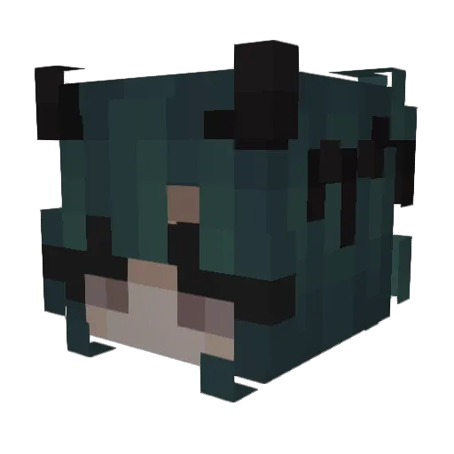 JellyJay07 Minecraft avatar head, 3D render