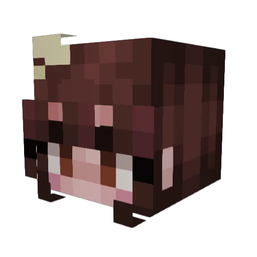 JellyLoops Minecraft avatar head, 3D render