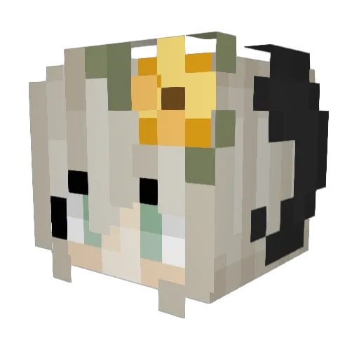 JellySpectrum Minecraft avatar head, 3D render