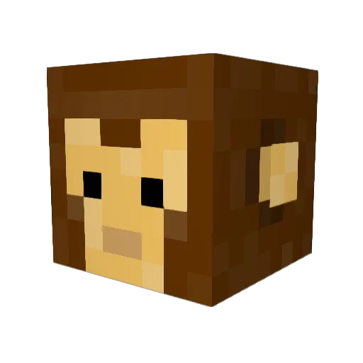 JellyStruan Minecraft avatar head, 3D render