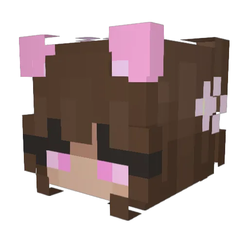 JellyTheAdept Minecraft avatar head, 3D render