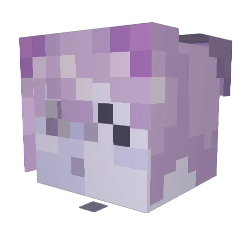 Jelly_25 Minecraft avatar head, 3D render