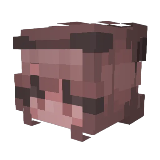 Jelly_Jenny Minecraft avatar head, 3D render