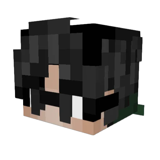 Jelly_Quest Minecraft avatar head, 3D render