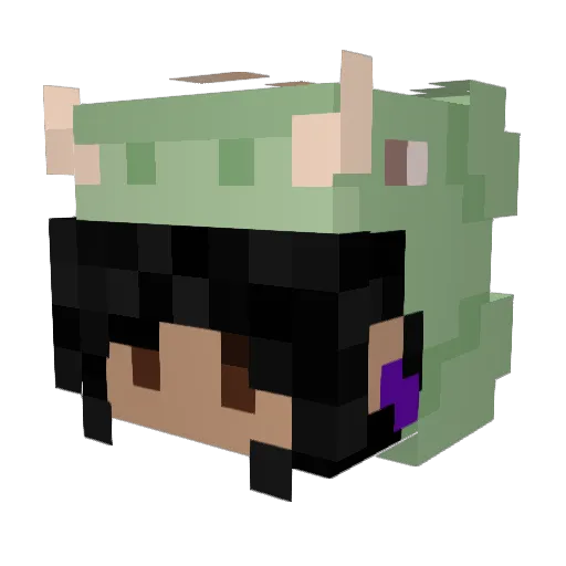 Jellybean425 Minecraft avatar head, 3D render