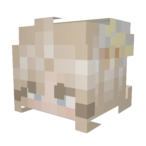 Jellybeanzies Minecraft avatar head, 3D render