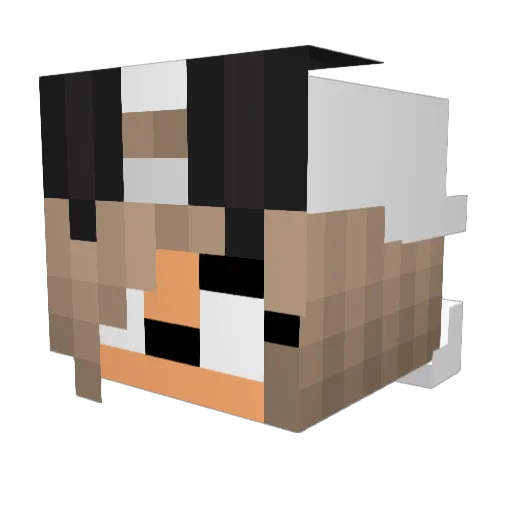 Jellybot2003 Minecraft avatar head, 3D render