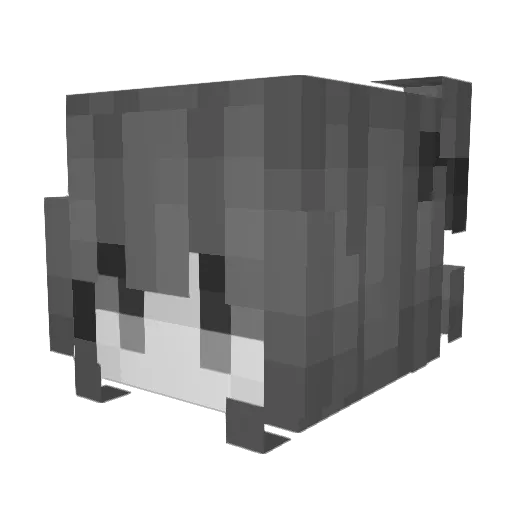 Jellydragonn Minecraft avatar head, 3D render