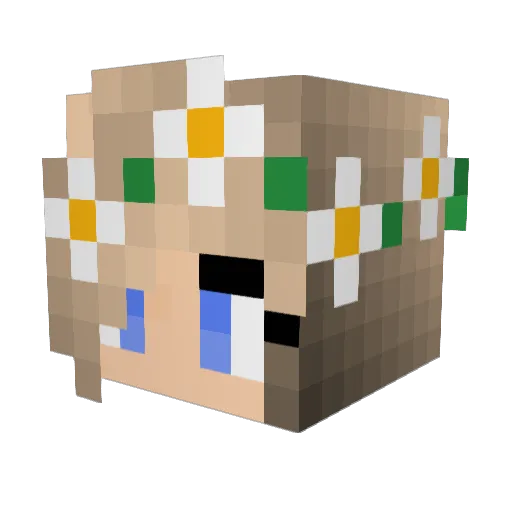 Jellyfish2501 Minecraft avatar head, 3D render