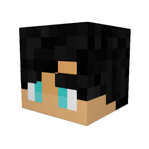 Jellyman205 Minecraft avatar head, 3D render
