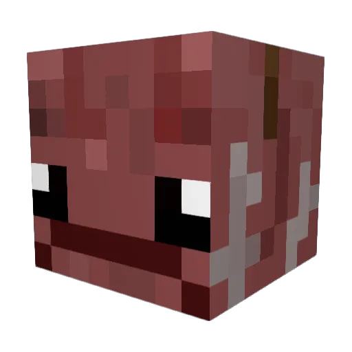 JellyofPrey Minecraft avatar head, 3D render
