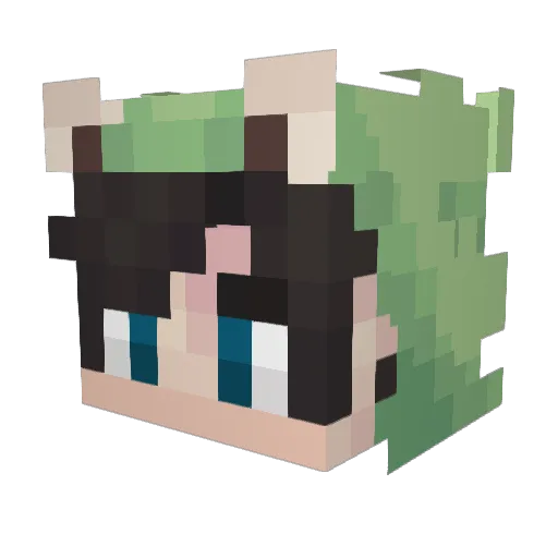 Jellytar1738 Minecraft avatar head, 3D render